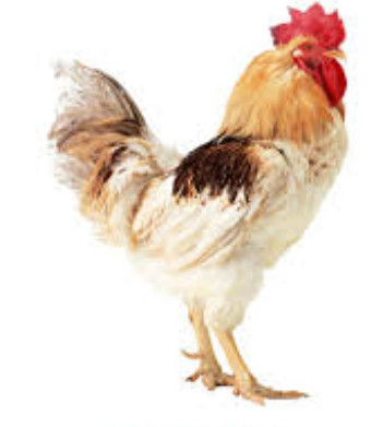 Контактілердегі наруто порно Жалаңаш әйелдердің порно фотосуреттері