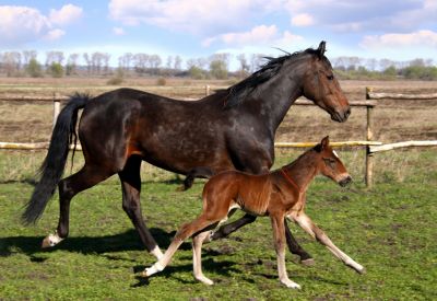 Эротикалық секс телебағдарламасы