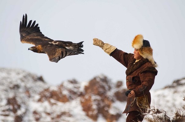 Бір жігіт балапанды сипалап отыр