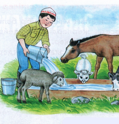 Әйелдер жыныстық қатынас үшін аяқтарын таратады