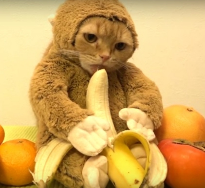 Тартылған сиқыр